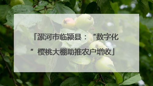 漯河市临颍县：“数字化”樱桃大棚助推农户增收